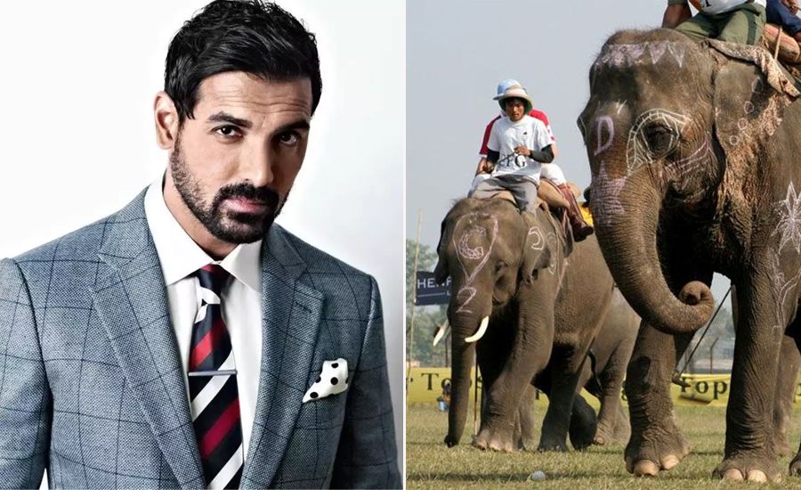John Abraham wrote a letter to the minister of Nepal asking him to stop the elephant competition in Chitwan John Abraham wrote a letter to the minister of Nepal asking him to stop the elephant competition in Chitwan