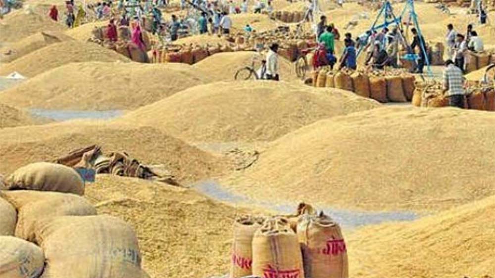 बारा र पर्साबाट दुई हजार दुई सय ७२ क्वीन्टल धान खरिद बारा र पर्साबाट दुई हजार दुई सय ७२ क्वीन्टल धान खरिद